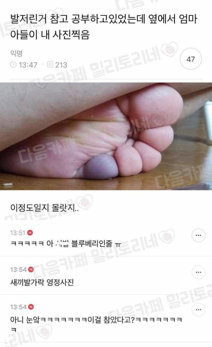 발가락 영정사진 | 인스티즈