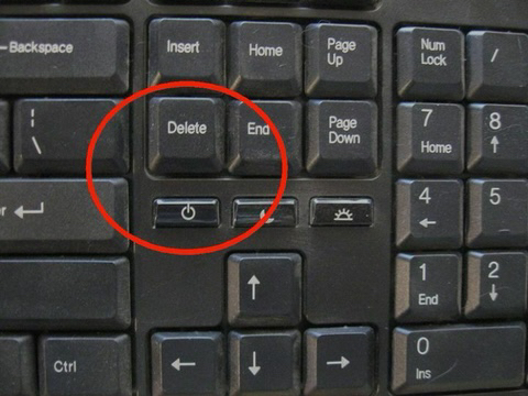 저주 받은 키보드 모음 | 인스티즈