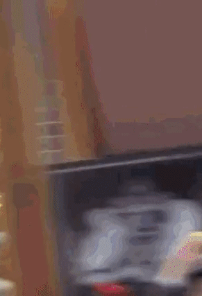 "관종인 줄 알았는데"…사고 직감 외국인 필사적 벽 기어올랐다 | 인스티즈