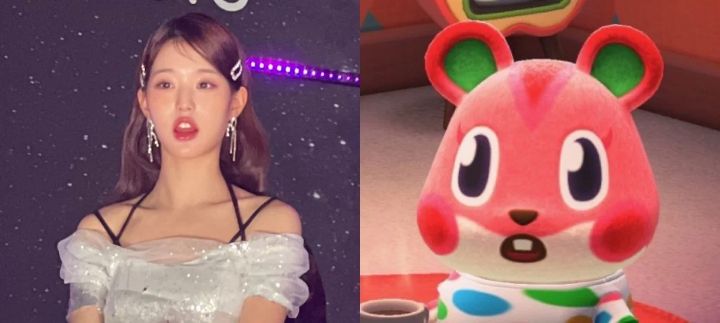 아이브 장원영이 짜리몽땅하다고 안 닮았다던 애플이랑 갑자기 닮았다고 인정한 이유 ㅋㅋㅋ | 인스티즈