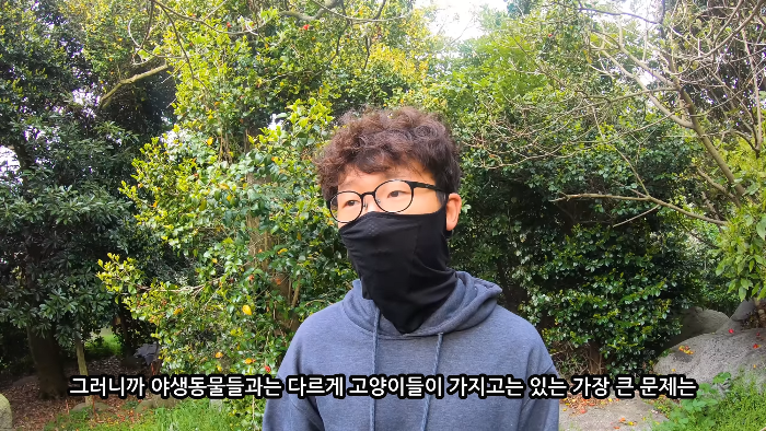 [사진100장스압] 고양이가 자연생태계에 끼치는 심각한 영향 | 인스티즈