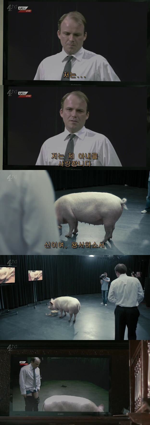 당신은 돼지와 섹스를 하겠는가.jpg | 인스티즈