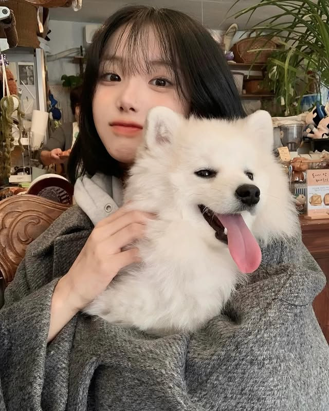 인스타 인플루언서 @chajinah_ | 인스티즈