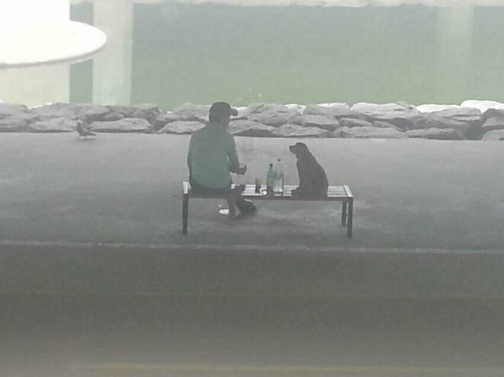 대한민국 퓰리처상 사진 모음.jpg | 인스티즈