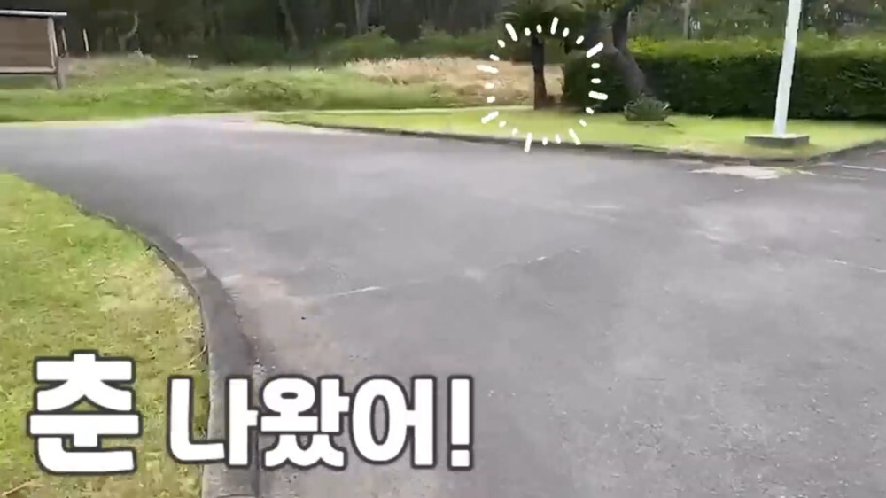 [스압주의] 일본인 캣맘 유튜버 2편 - 3천만원짜리 고양이 집 지음 | 인스티즈