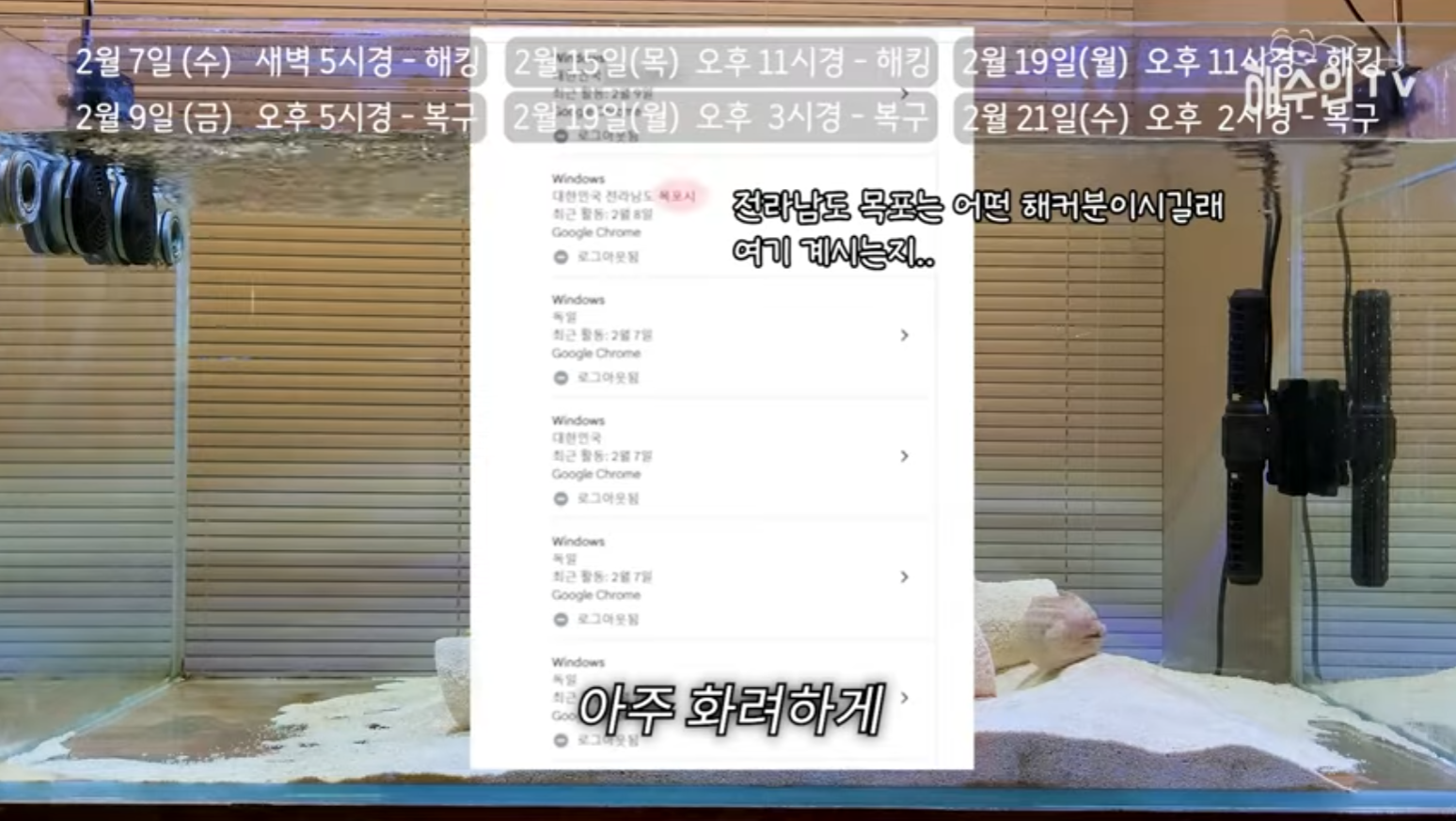 유튜브 계정이 3번이나 해킹 당한 이유 | 인스티즈