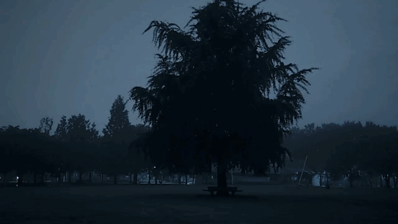 한 유튜버가 촬영하면서 정말 무서웠다는 새벽 2시 서울숲 풍경 | 인스티즈