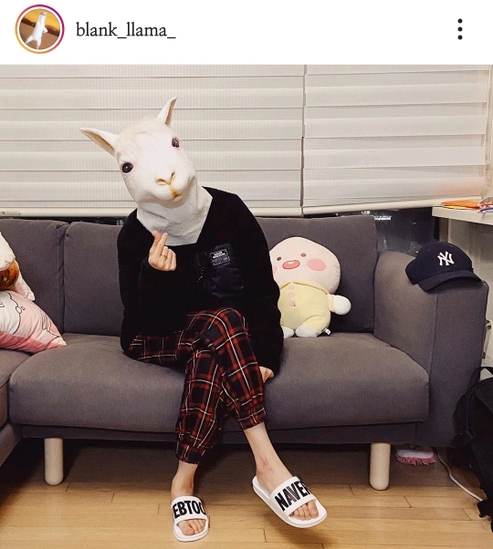 네이버 웹툰 내일 작가 라마 | 인스티즈