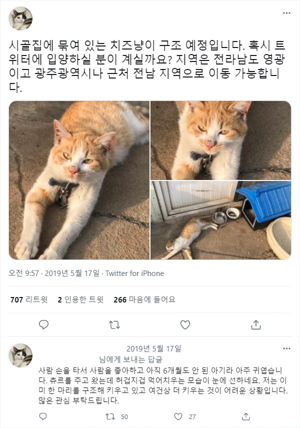 한 트짹이의 고양이 구출 | 인스티즈