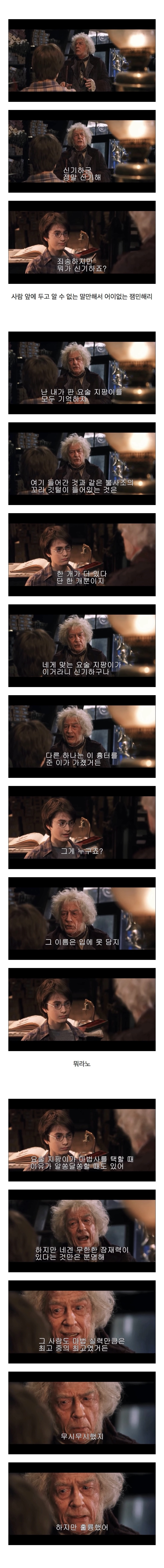[해리포터] 결말을 알고 보면 처음부터 선명했던 복선 | 인스티즈