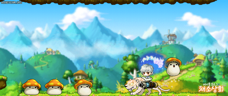 메이플스토리 데미지 스킨 모음 | 인스티즈