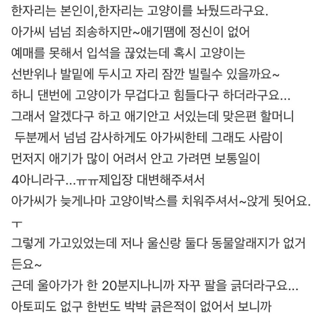 판) 기차에 고양이 데리고 탄 아가씨때문에 죽을뻔했어요 | 인스티즈