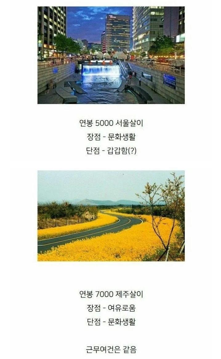 연봉5000 서울살이vs연봉 7000 제주살이 | 인스티즈