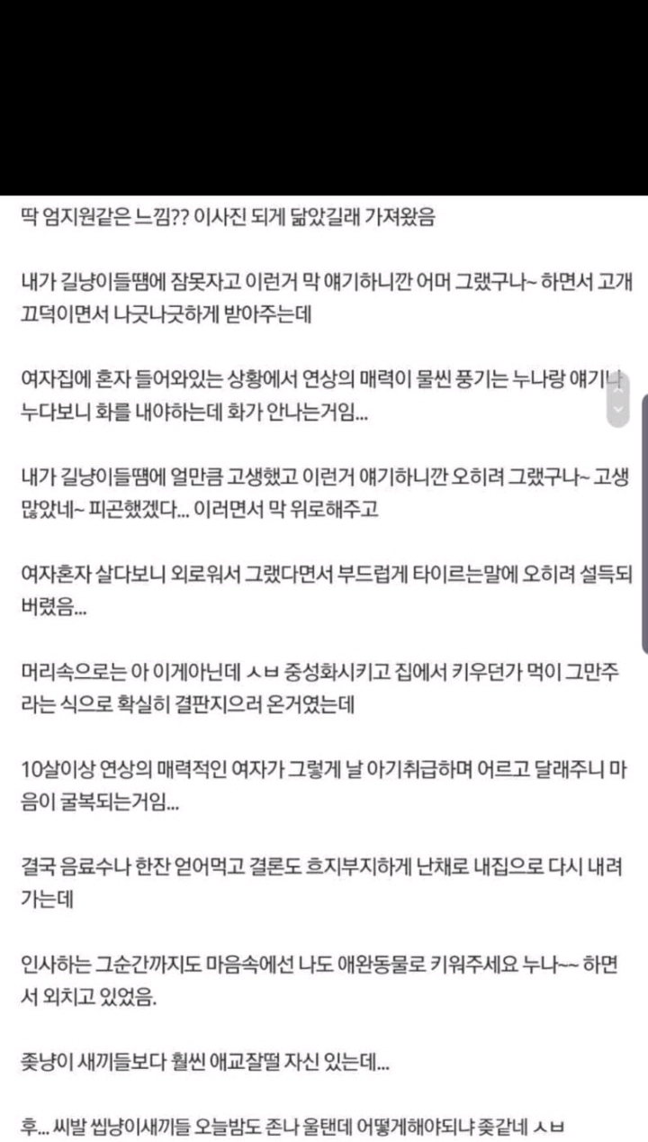 윗층사는 캣맘이 너무예뻐서 항의를 못하겠다 | 인스티즈