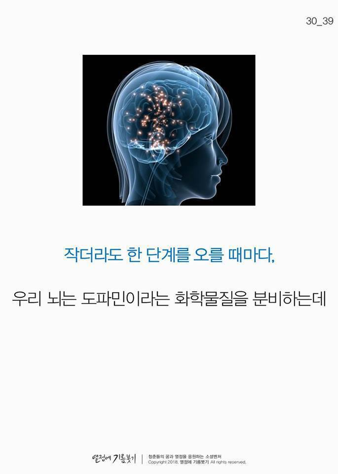 의지가 약하다고 자책하는 사람들에게 | 인스티즈