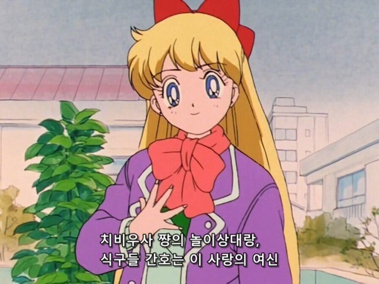 세일러문에 대한 흔한 오해.JPG | 인스티즈