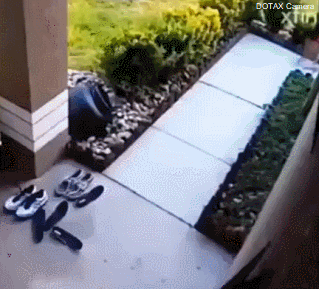 모르는집에 하임리히 구조요청 | 인스티즈