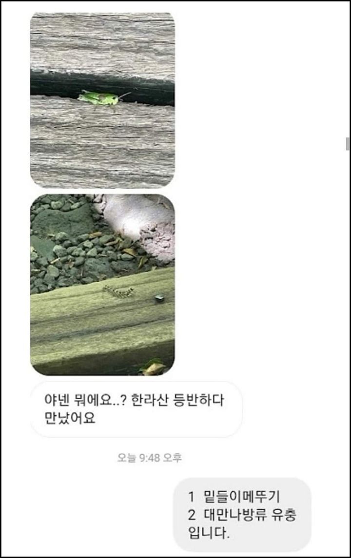 모르는게 없는 유튜버ㅋㅋㅋㅋㅋㅋ.jpg | 인스티즈
