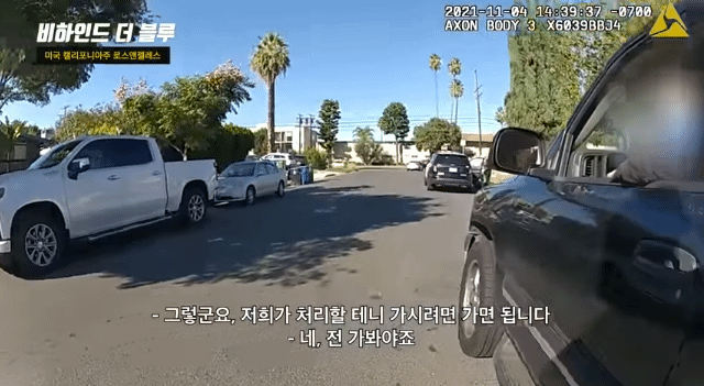 핏불이 사람 위협..빈백 샷건 갈겨버린 미국 경찰 | 인스티즈