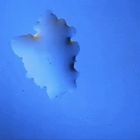 물이 얼음이 되는 과정 .gif | 인스티즈