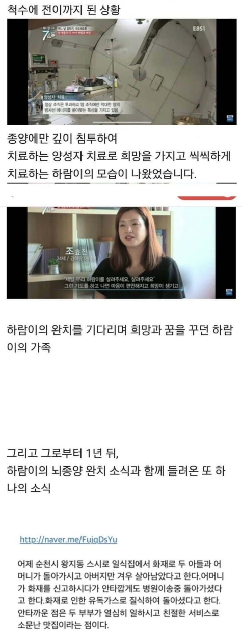 신이 없는이유 | 인스티즈