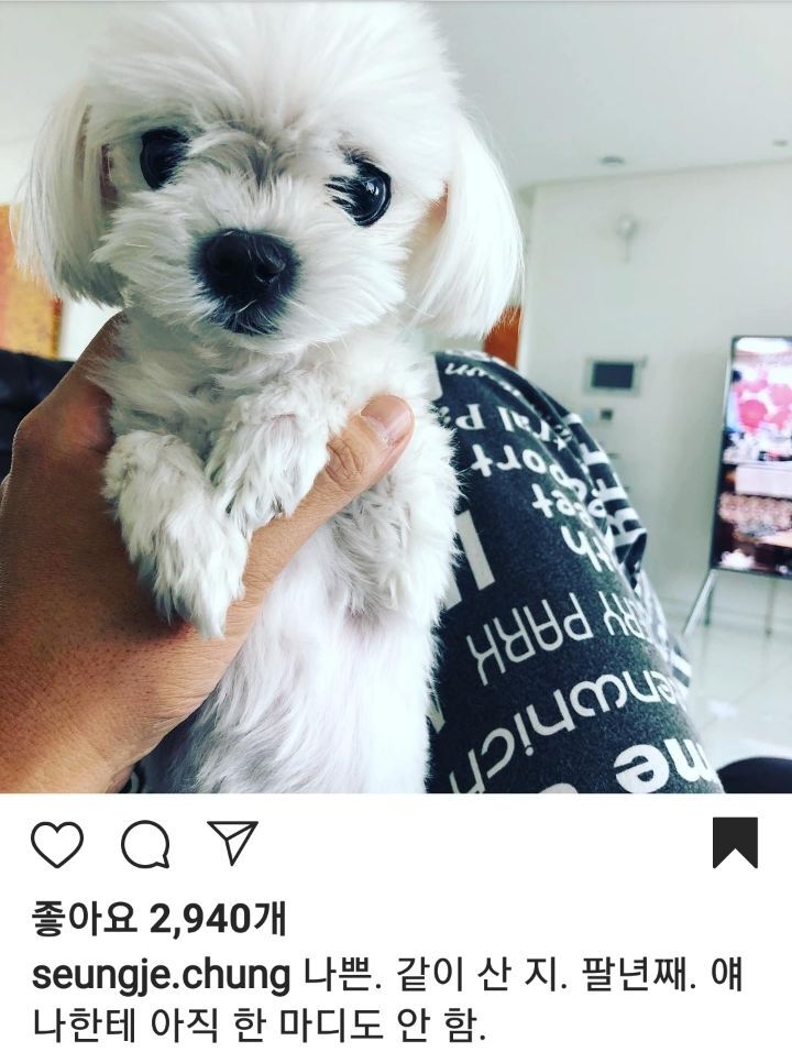 코델리아 이미지