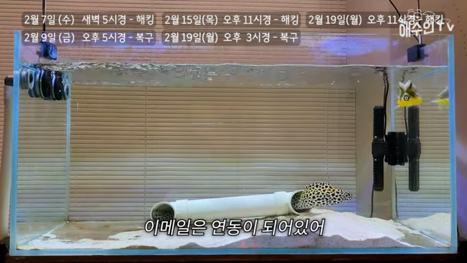 유튜브 계정이 3번이나 해킹 당한 이유 | 인스티즈