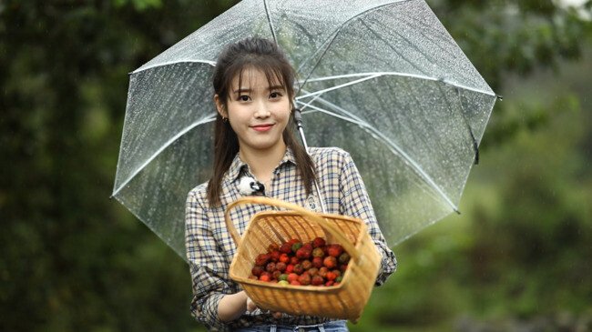 [이선희x아이유] 나무야나무 예고편 및 사진 | 인스티즈