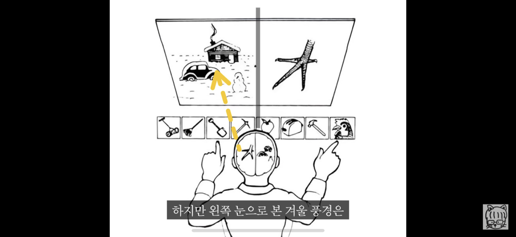 (스압)분리 뇌 실험 | 인스티즈