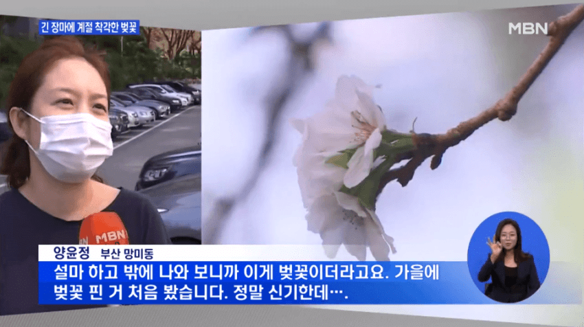 아 테스형 세상이 왜 이래~ | 인스티즈