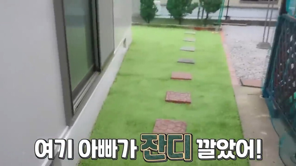 [스압주의] 일본인 캣맘 유튜버 2편 - 3천만원짜리 고양이 집 지음 | 인스티즈