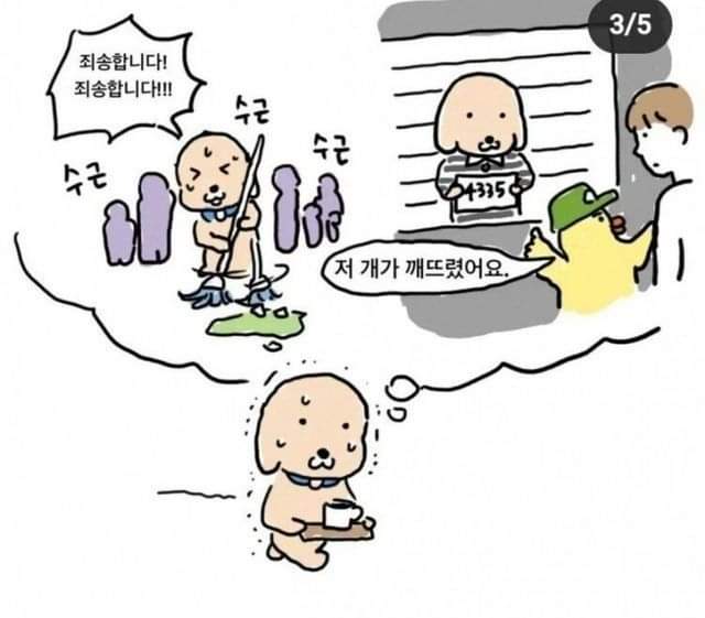 커피숍에서 커피 쟁반으로 옮길 때 드는 생각 | 인스티즈