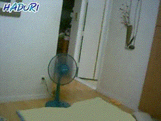 틱톡보다 20년은 앞선던 한국 문화..gif  | 인스티즈