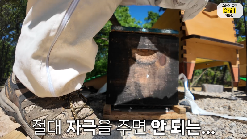 양봉 시작한 올리버쌤 근황.jpg | 인스티즈