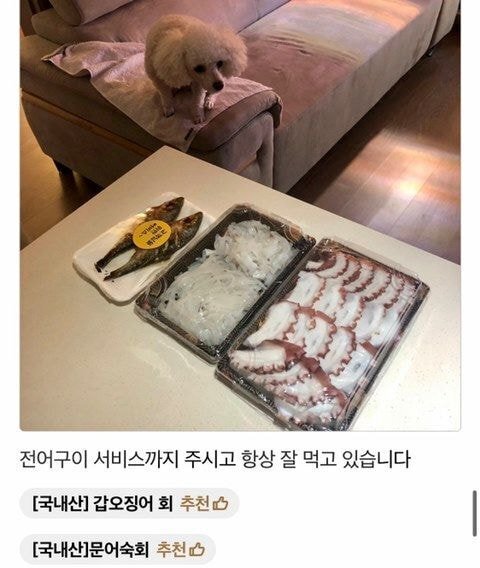 배달의 민족 리뷰에 강아지가 안보여 아쉬운 사장님.jpg | 인스티즈