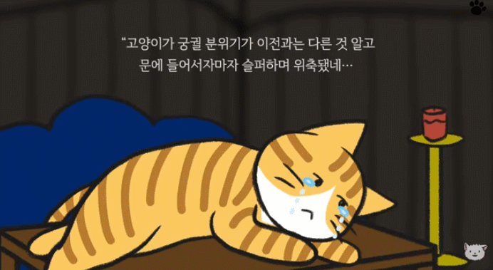 고양이를 사랑한 숙종이야기 | 인스티즈