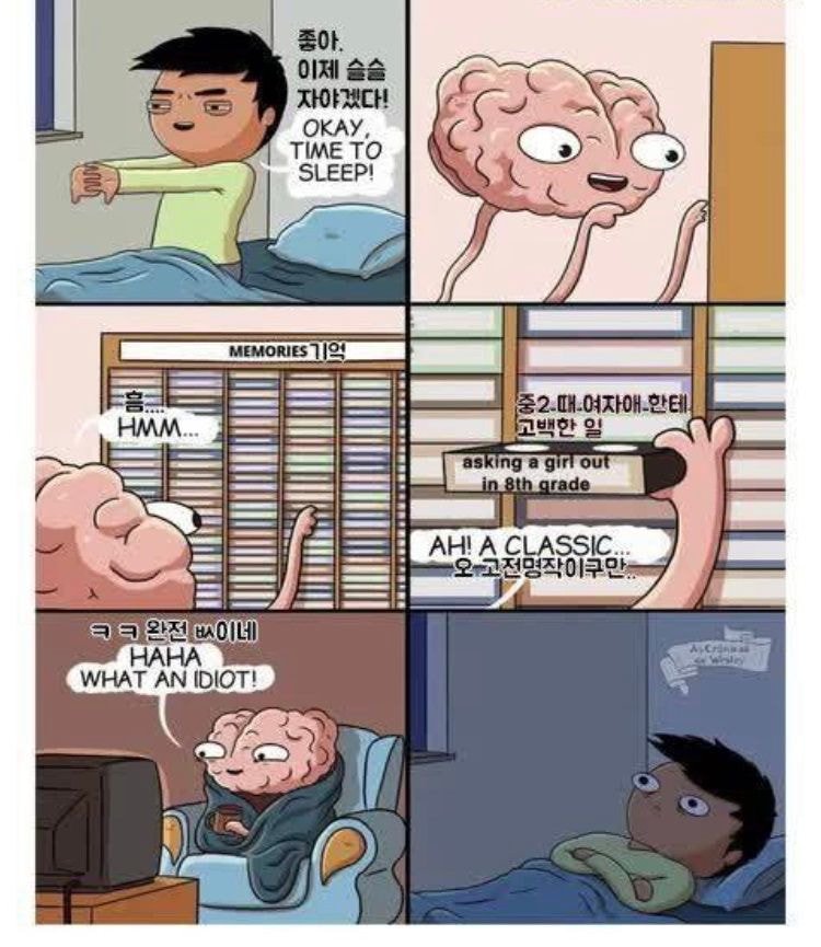 당신이 잠들기전 뇌 | 인스티즈