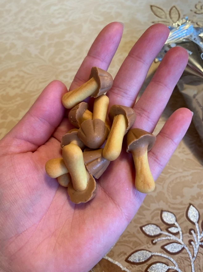 러시아에서 판다는 초코송이 카라멜맛..JPG | 인스티즈