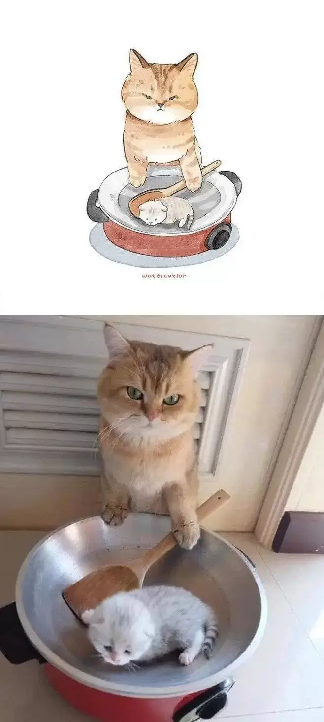 커여운 고양이 그림 | 인스티즈