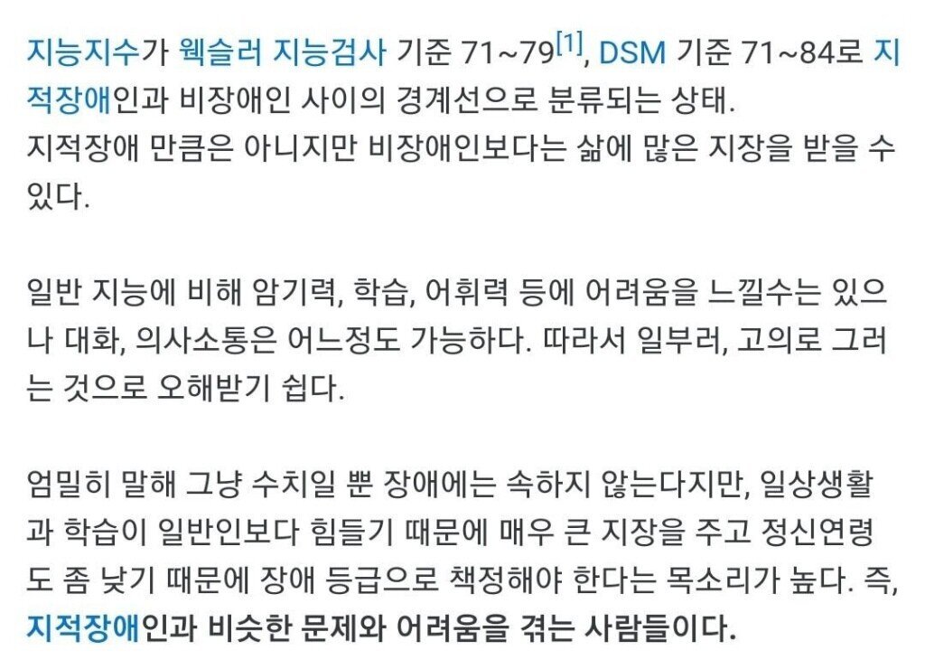 경계선 지적 장애자들의 현실.JPG | 인스티즈