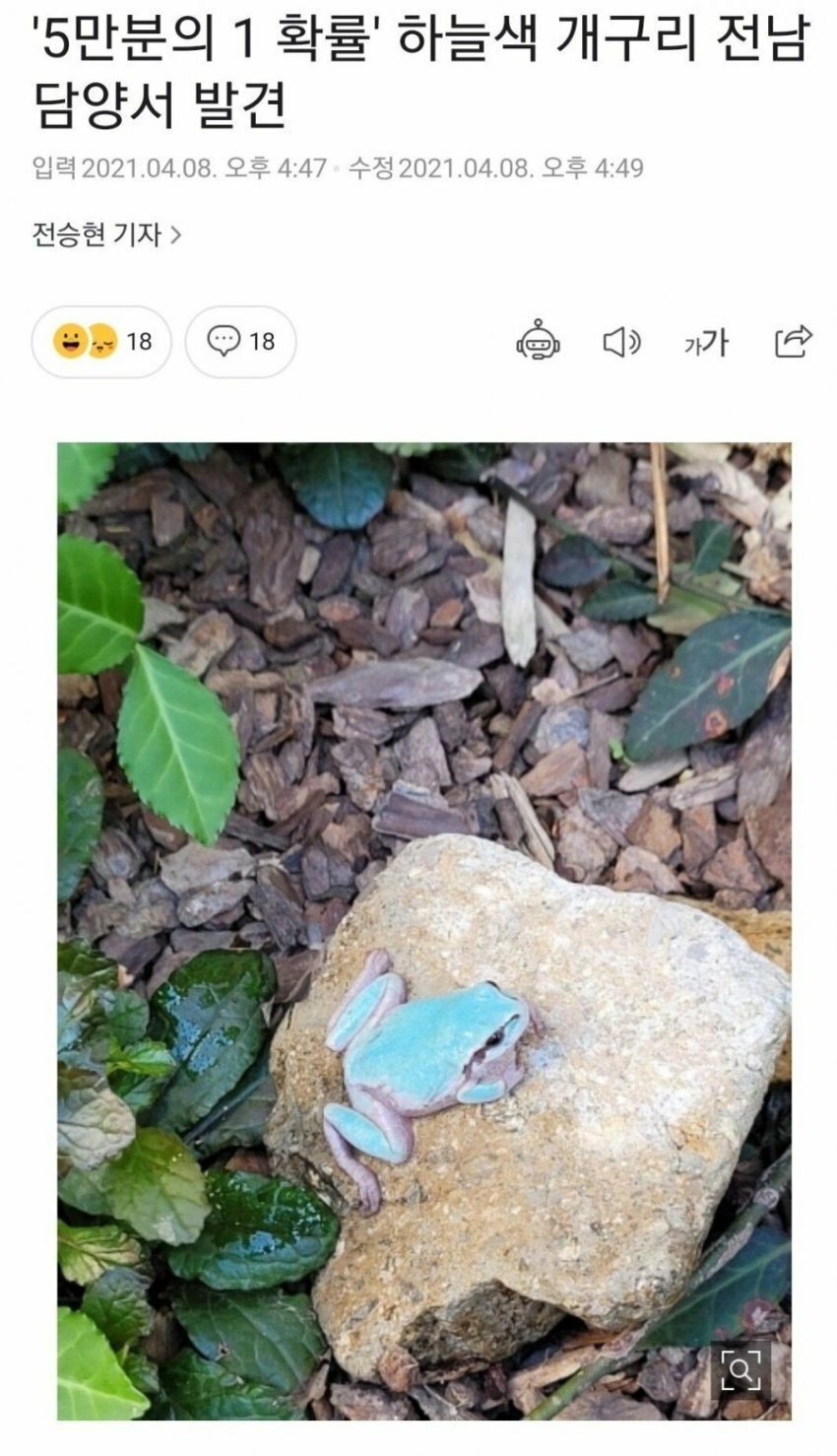 의외로 실존하는 생물 | 인스티즈