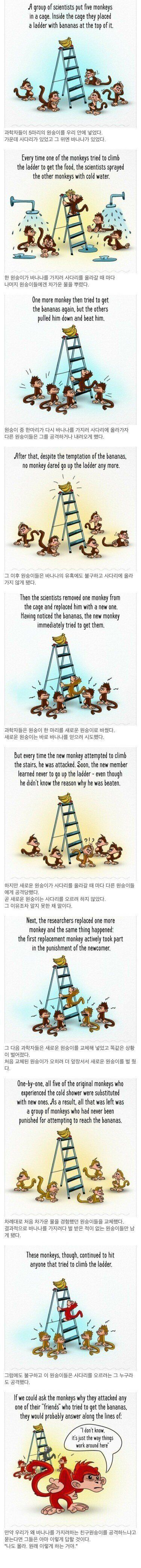 사회적 금기가 만들어지는 과정 | 인스티즈