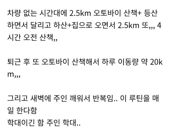 학대 논란이 있는 허스키 견주 | 인스티즈