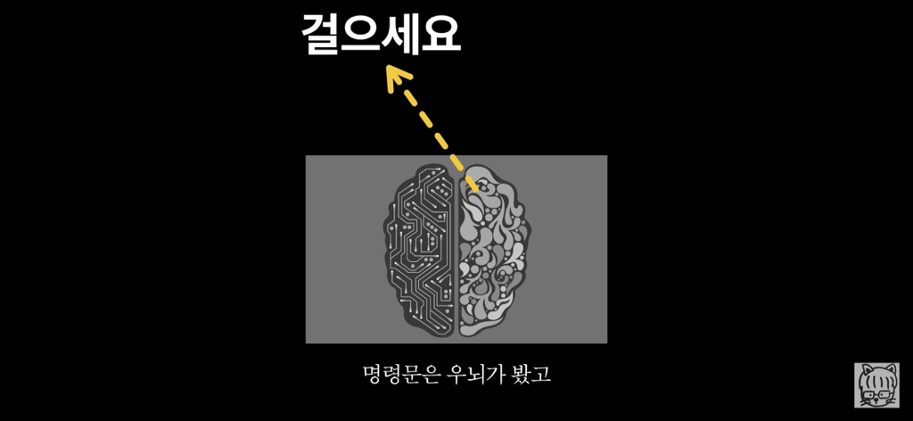 (스압)분리 뇌 실험 | 인스티즈