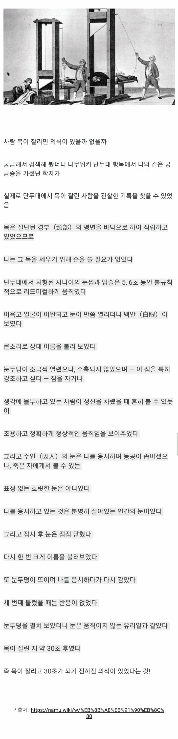 사람이 목이 잘리면 의식이 있을까 없을까.jpg | 인스티즈