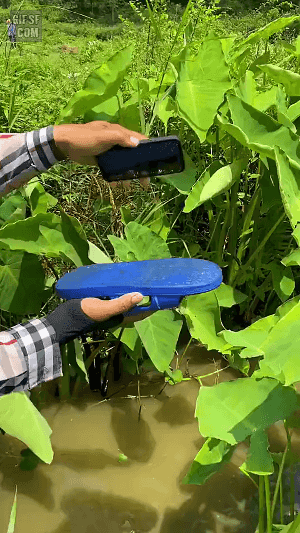 촬영 기법 | 인스티즈