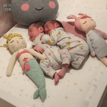잠자는 쌍둥이 | 인스티즈