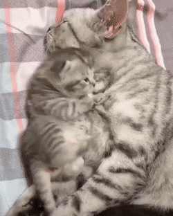 육아는 힘들어.gif | 인스티즈