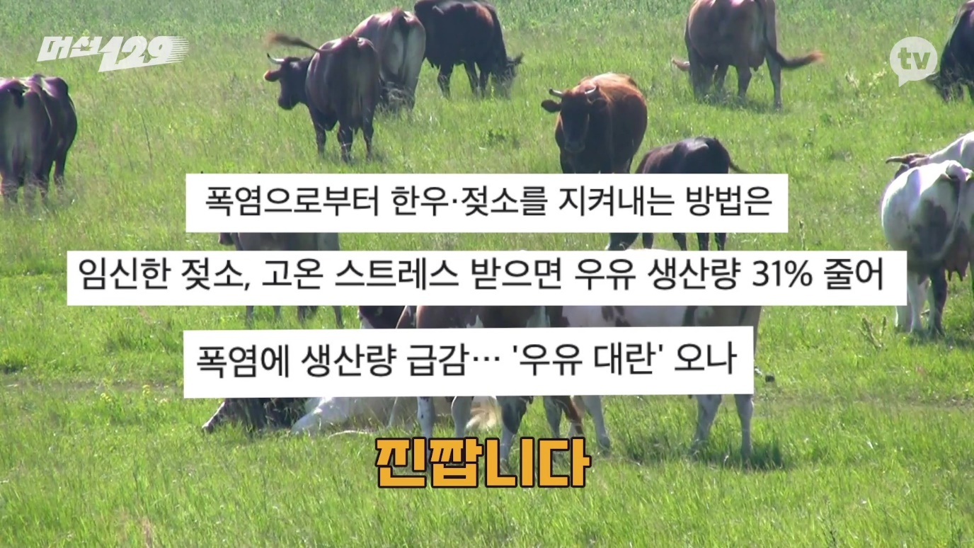 여름에 투게더가 많이 안나오는 이유 | 인스티즈