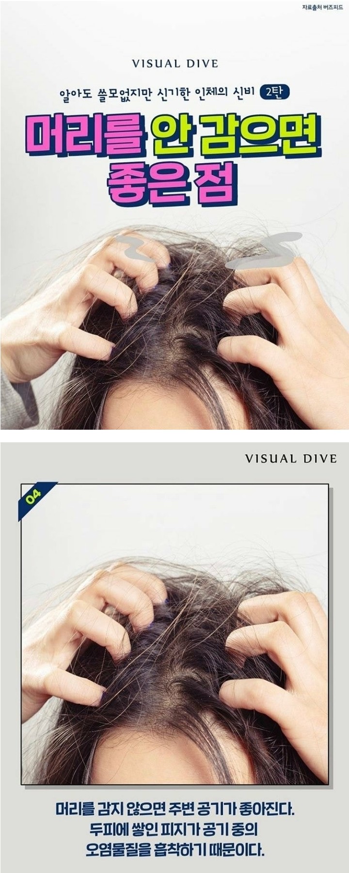 머리를 안 감으면 좋은점 jpg | 인스티즈